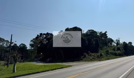 Terreno comercial em Campo Alegre/SC, de frente para a SC 418, para investimento
