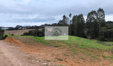 Terreno para sitio com 20.000 m², com riacho e nascente, apenas 3,5 km do asfalto