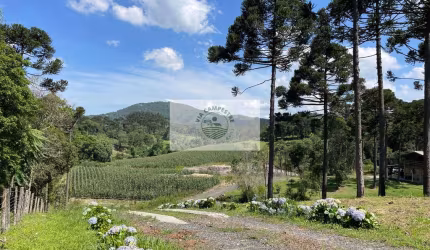Terreno para sitio, apenas 300 metros do asfalto, Bateias de Baixo, analisa parcelamento