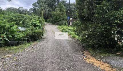 Amplo terreno urbano com 81.091 m², localizado na lateral da Rua Colon, bairro Gloria