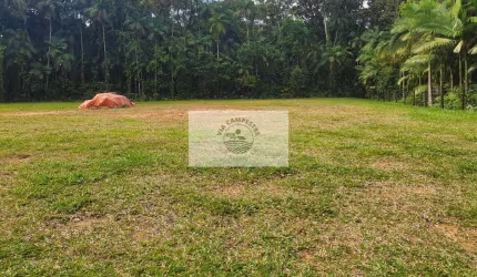 Terreno rural pronto para construir com 4.518 m² em Pirabeiraba, aceita permuta