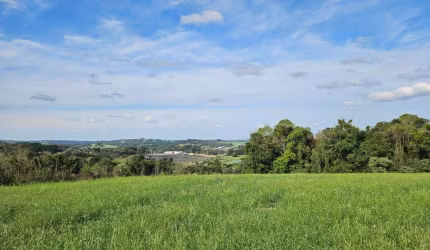 Chácara à venda, 23000 m  por R  575.000,00 - Zona Rural - Araucária PR