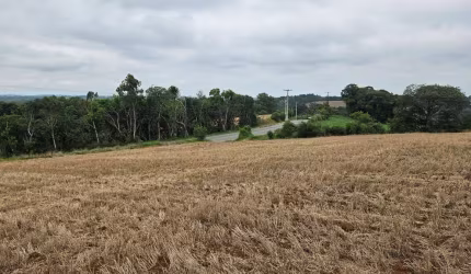 Terreno à venda, 84700 m² por R$ 3.500.000,00 - Guajuvira - Araucária/PR