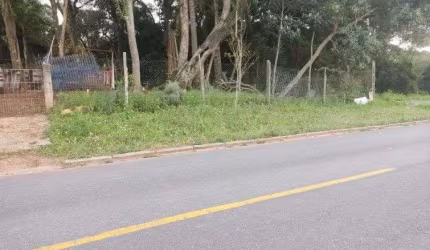 Terreno à venda, 2793 m  por R  990.000,00 - Iguaçu - Fazenda Rio Grande PR