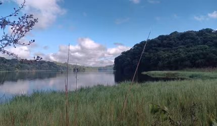 Chácara com 2 dormitórios à venda, 21473 m  por R  1.200.000,00 - Zona Rural - Araucária PR