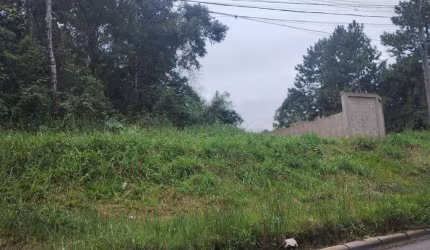 Terreno à venda, 5175 m  por R  1.990.000,00 - São Miguel - Curitiba PR