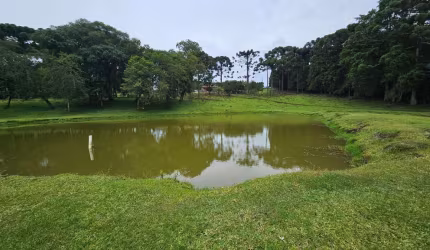 Sítio com 6 dormitórios à venda, 254100 m  por R  3.020.000,00 - Zona Rural - Araucária PR
