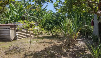 Chácara com 2 dormitórios à venda, 1820 m  por R  225.000,00 - Alexandra - Paranaguá PR