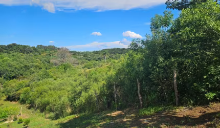 Chácara à venda, 7000 m  por R  255.000,00 - Zona Rural - Contenda PR