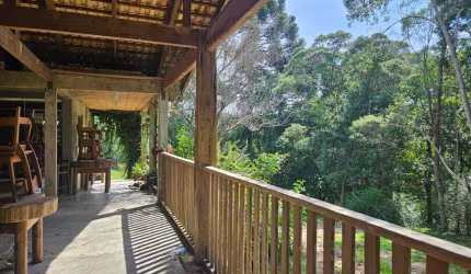 Chácara com 3 dormitórios à venda, 22454 m  por R  1.100.000,00 - Colônia Murici - São J.dos Pinhais