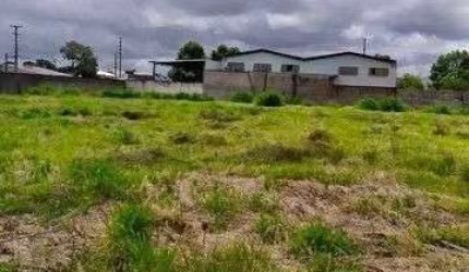Terreno à venda, 4930 m  por R  5.800.000,00 - Centro - Pinhais PR