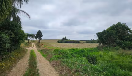 Sítio à venda,847000.00 m , zona rural, CONTENDA - PR