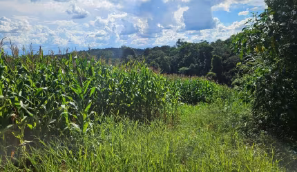 Chácara à venda, 36400m   em Catanduvas Do Sul - PR Zona rural de Contenda-PR