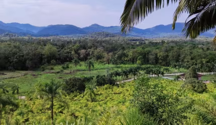 Área à venda, 331340 m  por R  2.650.000,00 - Serra Negra  - Guaraqueçaba PR