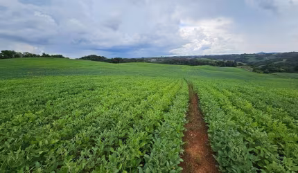 Chácara com 222.640,00m , 9,2 Alqueires, Campo Magro-PR