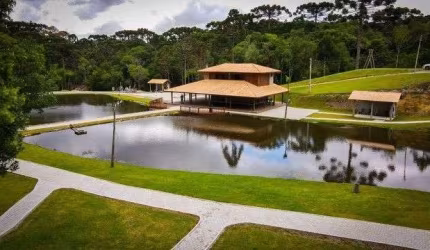 Chácara com 1 dormitório à venda, 24200 m  por R  2.950.000,00 - Imbuial - Campina Grande do Sul PR
