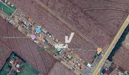 Terreno em Floresta