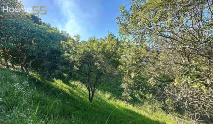 Terreno à venda, 866 m² por R$ 340.000,00 - Vila David Antônio - Campo Largo/PR