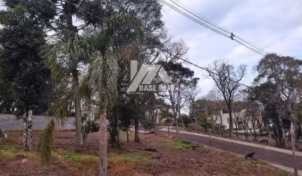 Terreno em condomínio alto padrão no Trianon