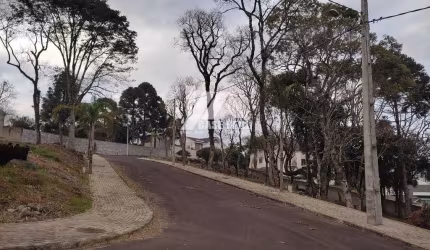 Terreno em condomínio alto padrão no Trianon