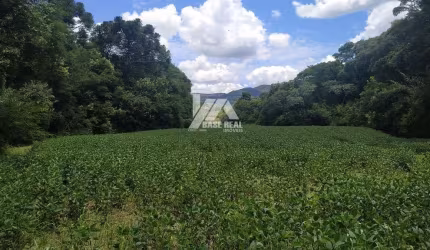 Área a venda de 6 alqueires em Prudentópolis