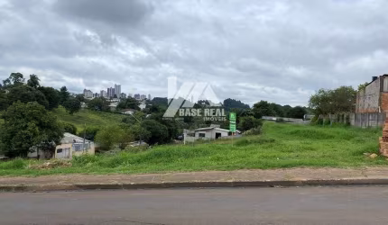 Excelente terreno no Morro Alto