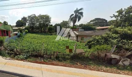 Terreno à Venda, Uvaranas, Ponta Grossa, PR