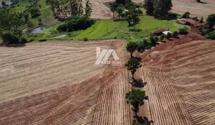Fazenda à venda, Rural, Nova Fátima, PR