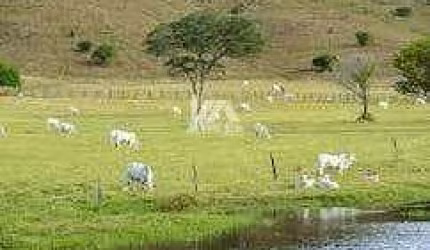 Fazenda à venda, Rural, Jacarezinho, PR