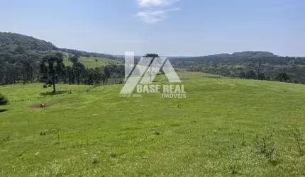 Oportunidade Única! Fazenda de 119,77 Ha em 

Guarapuava/PR
