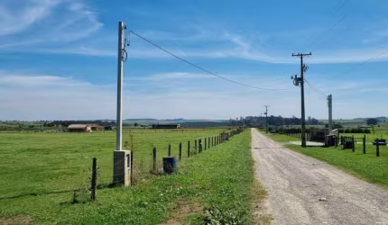 Chácara para Venda em Balsa Nova, São Luiz do Purunã