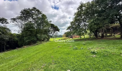 Chácara à venda, 22800 m² por R$ 750.000,00 - Vila Ipiranga - Toledo/PR
