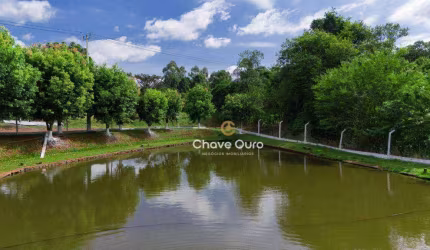 Chácara com 3 dormitórios à venda, 81000 m² por R$ 2.500.000,00 - Zona Rural - Ibema/PR