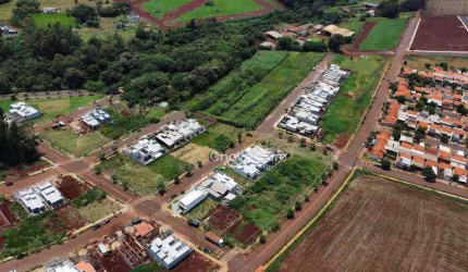 Terrenos a venda na Pioneira , Loteamento Cerejeira ,