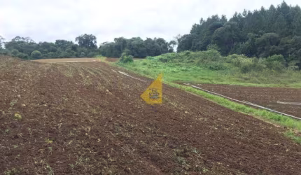 Terreno à venda no Capivari, Colombo  por R$ 498.000