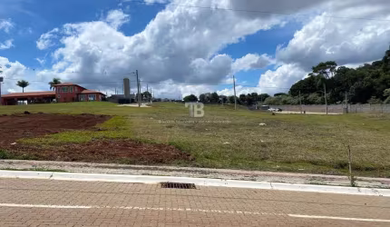 Terreno residencial à venda no condomínio Real Park, Chapecó