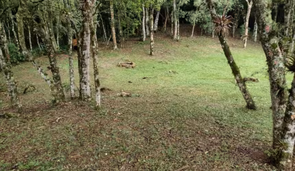 Terreno no Condominio Jardim da Serra em Rancho Queimado