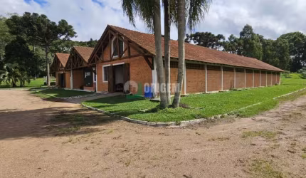Haras em Planta Guarituba Pequena - Piraquara, PR