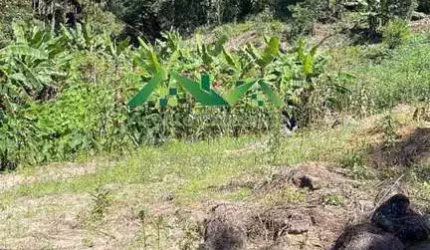 Terreno Rural para Venda em Nova Friburgo, Santiago