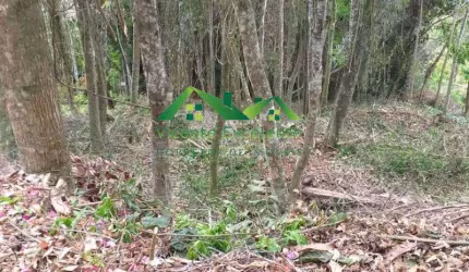 Terreno para Venda em Nova Friburgo, Conselheiro Paulino