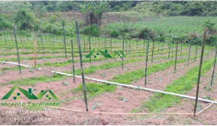 Sítio para Venda em Nova Friburgo, Mariana