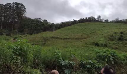 Sítio para Venda em Nova Friburgo, Vargem Alta