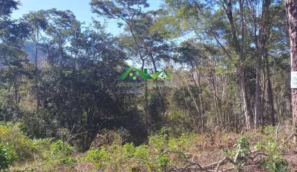 Terreno para Venda em Nova Friburgo, Amparo