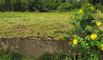 Terreno à venda no Encano, Indaial , 4293 m2 por R$ 1.380.000