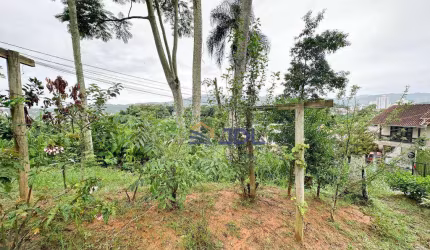 Terreno à venda, 450 m² por R$ 199.000,00 - Asilo - Blumenau/SC