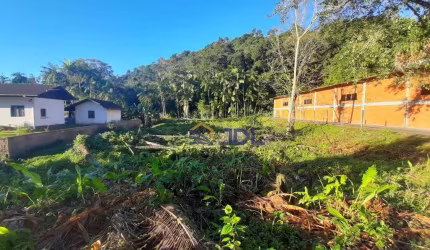 Terreno à venda, 2500 m² por R$ 840.000,00 - Centro - Pomerode/SC