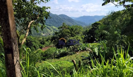 Terreno à venda, 158000 m² por R$ 510.000,00 - Ribeirão dos Russos - Benedito Novo/SC