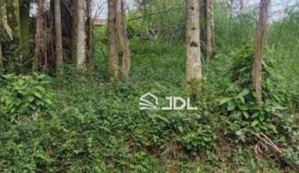 Terreno à venda, 653 m² por R$ 340.000 - Velha - Blumenau/SC