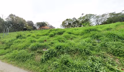 Terreno à venda, 6265 m² por R$ 4.900.000,00 - Velha - Blumenau/SC