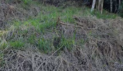 Terreno à venda, 1447 m² por R$ 690.000,00 - Escola Agrícola - Blumenau/SC
